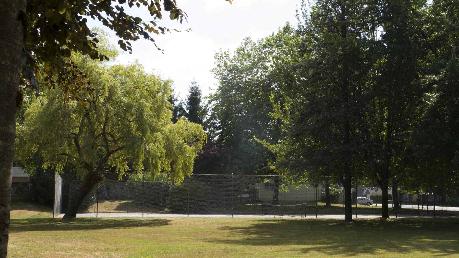 An grassy field decorated with large, shady trees.